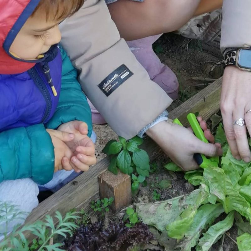 Planting change - Valencia Montessori School